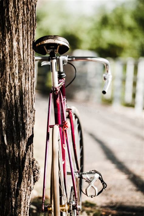 Bicicleta Da Estrada Na Rua Da Cidade Imagem De Stock Imagem De Retro