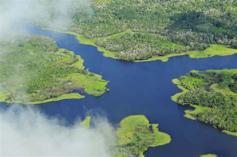 Amazon River Wikipedia