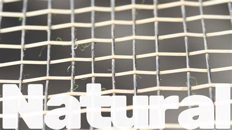 Best Natural Gut Tennis Strings In