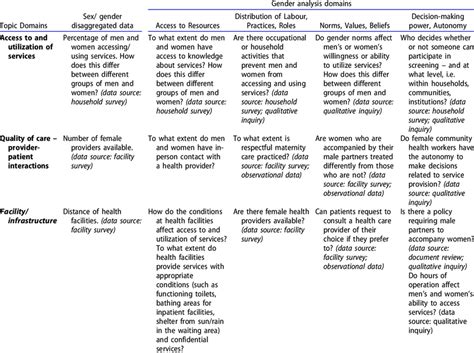 Example Gender Analysis Matrix Download Scientific Diagram