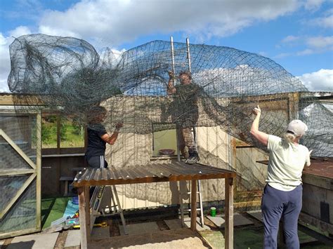 New Zealand's biggest Purrfect Fence installation | CATFENCE