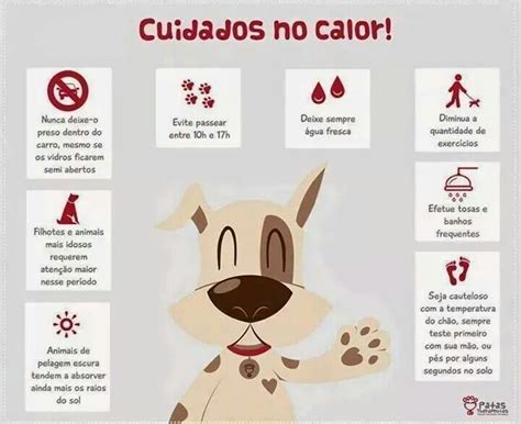 Cuidados No Calor Dicas De Animais De Estima O C Es De Estima O