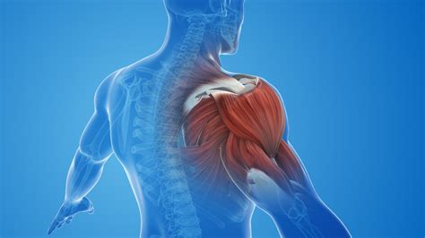 Can a Shoulder Injury Cause Neck Pain? - Dr. Eric Giang