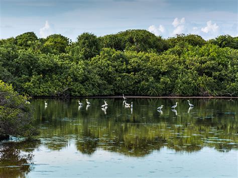 Visit Maldives - Places > Addu Nature Park