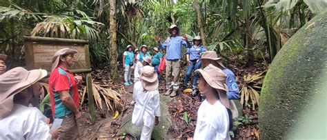 Experiencia Inmersiva En Las Reservas Naturales De Colombia