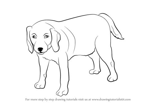 Learn How To Draw A Dog Farm Animals Step By Step Drawing Tutorials