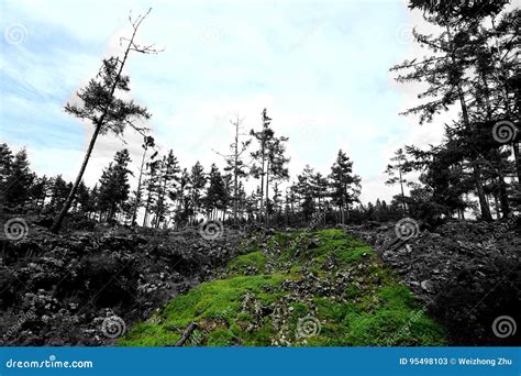 Landscape of Hulunbuir Grasslands Stock Image - Image of south, bodies ...