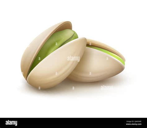 Vector Realistic Pistachio Nuts With Nutshell Side View Isolated On