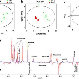 Multivariate Analyses Of H Nmr Spectra Of Aqueous Extracts Derived