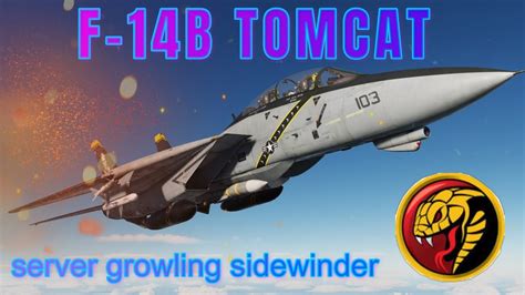 Found on YouTube: DCS WORLD F-14B TOMCAT Growling Sidewinder server ...