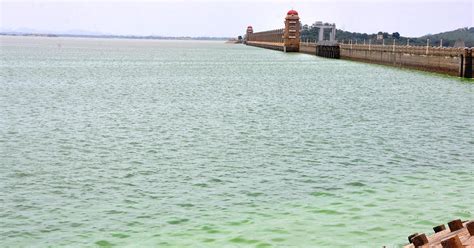 Tungabhadra Reservoir Gets 5 Tmcft Water In 24 Hours