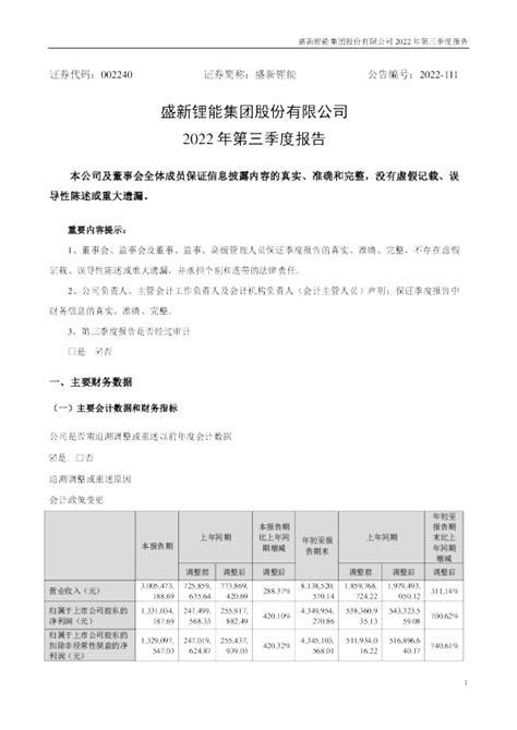 盛新锂能：2022年三季度报告