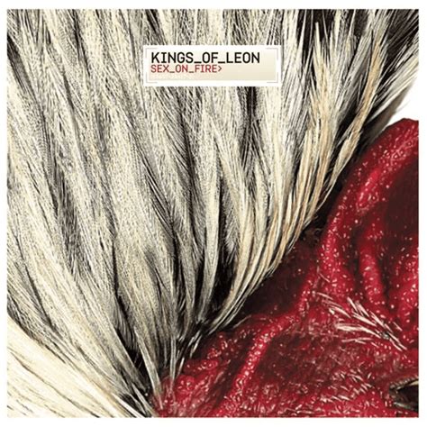 Sex on Fire Deutsche Übersetzung Kings of Leon Genius Lyrics
