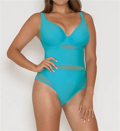 Sheer Class Plunge One Piece Swimsuit