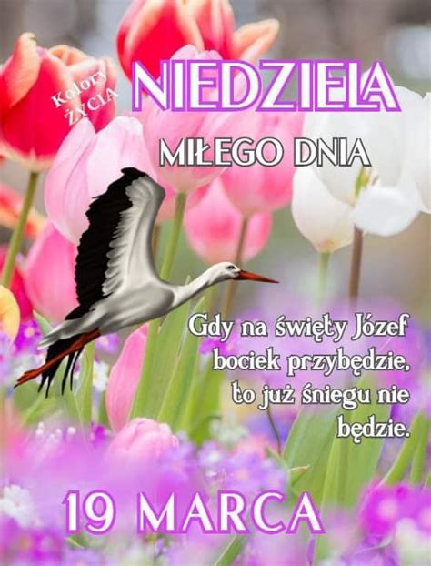 Pin Su Niedziela Nel