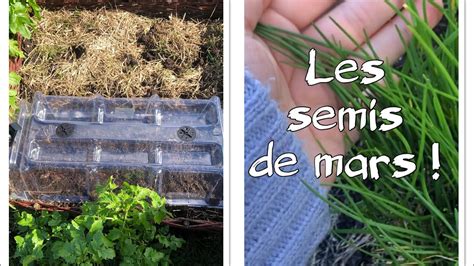 Potager Les Semis De Mars Semis Potager Jardin Youtube