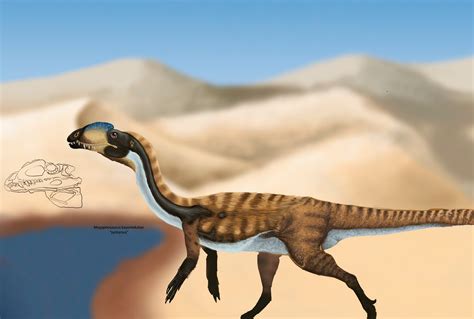 Syntarsus
