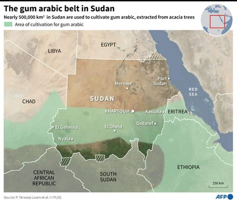 Sudan War Hits Crucial Gum Arabic Business Za