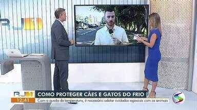 Rj Tv Rio Sul Veterin Rio D Dicas De Como Proteger C Es E Gatos