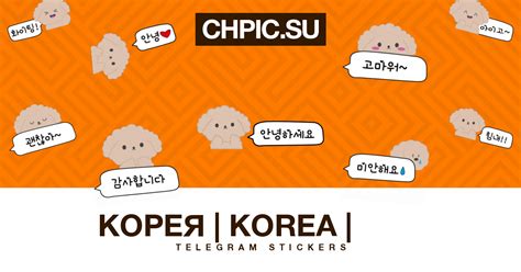 Korea Telegram Stickers