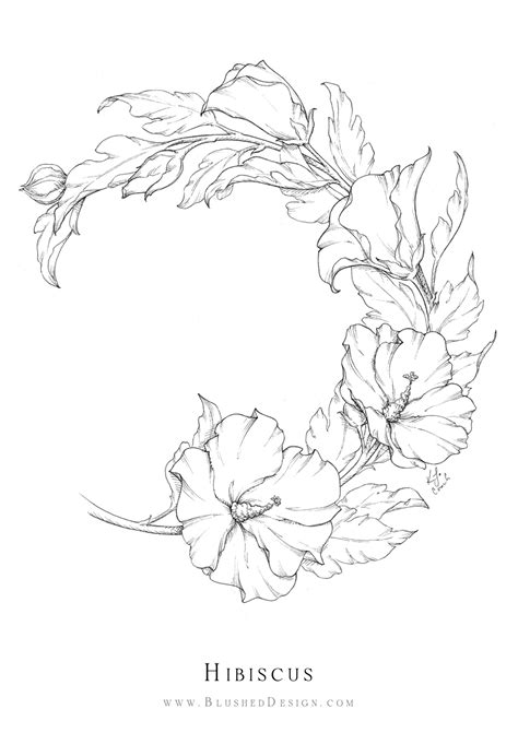 Hibiscus Wreath Flower Drawing In 2020 Flower Drawing Floral Drawing