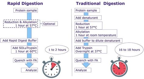 Rapid Trypsin Digestion Of Complex Protein Mixtures For Proteomics Analysis