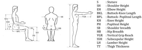 Anthropometric measures | Download Scientific Diagram