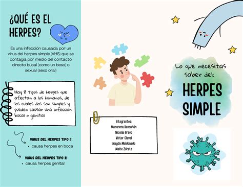 Triptico Herpes Hay Tipos De Herpes Que Afectan A Los Humanos De