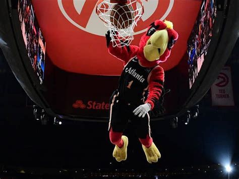 Who is the Atlanta Hawks' mascot, Harry the Hawk?