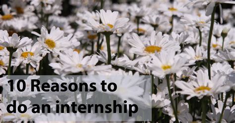 10 Reasons To Do An Internship Prettygreentea