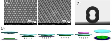 Nil Preparations And Setup A Sem Images Of Silicon Master B