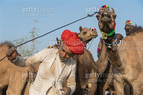 Indian Man In The Desert Thar During Pushkar Camel Mela Near Holy City