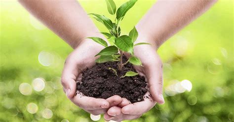 Geen Groene Vingers Zo Begin Je Met Tuinieren Thuis Tuin