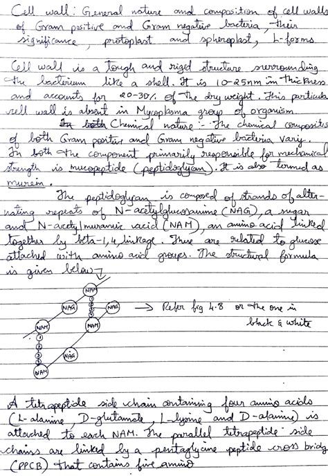 Bacterial Cell Wall Lecture Note For Microbiology C Wau