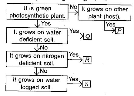 Refer To The Given Flow Chart And Select The Correct Option Regarding P