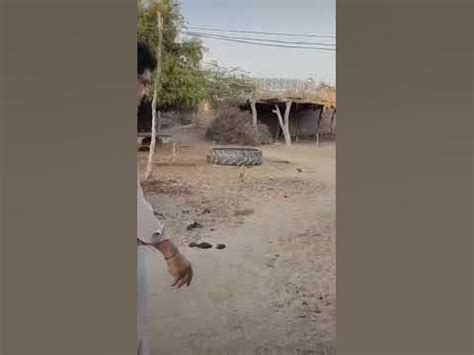 chacha ali mohammed age  years youtube