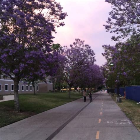 Jacaranda Hall Jd College Technology Building In Northridge East