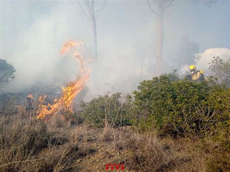 Un Incendio Forestal En Montcada Afecta 7000 Metros Cuadrados De