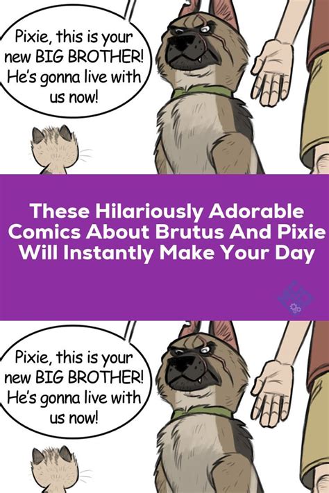 These Hilariously Adorable Comics About Brutus And Pixie Will Instantly