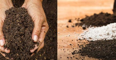 What Is The Difference Between Potting Soil And Potting Mix Patio