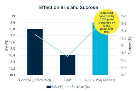 Polysulphate On Sugarcane Icl Us