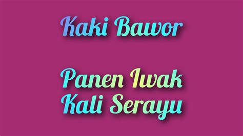 Kaki Bawor Panen Iwak Kali Serayu Kakibawor Panjebarsemangat