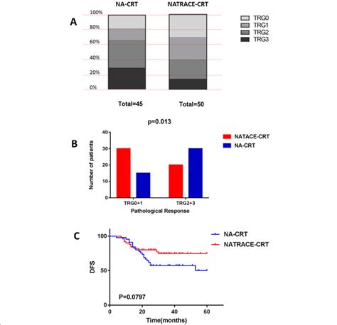 Pathological Response Rate And Dfs A It Displays The Tumor