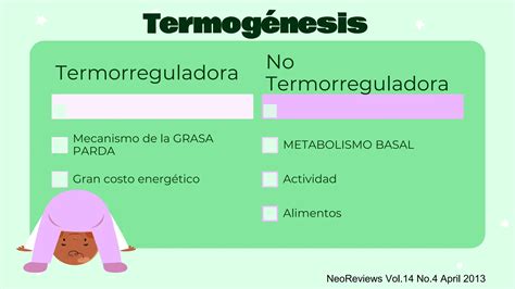 Termorregulacion En El Recien Nacido Pptx