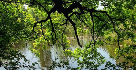 Wald Wiesen Und Wasser BERGFEX Wanderung Tour Nordrhein Westfalen