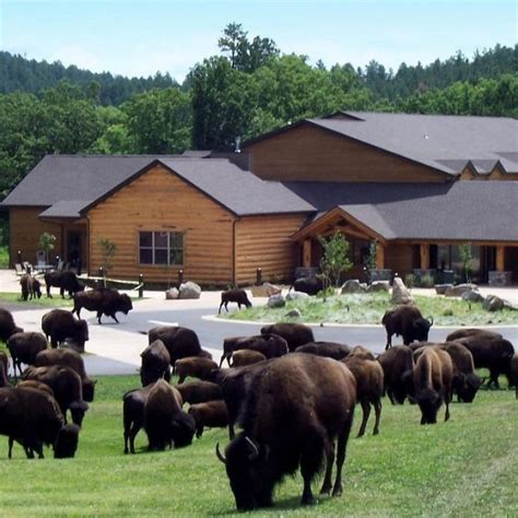 State Game Lodge At Custer State Park Resort Custer State Park Game