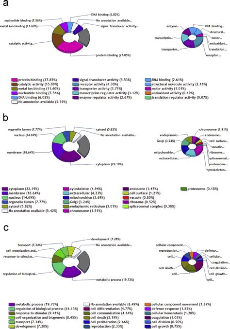 List Of Protein Functions Molecular Function A Cellular Components