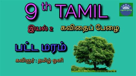 Th Tamil Iyal Patta Maram Tamil Th Tnpsc Youtube