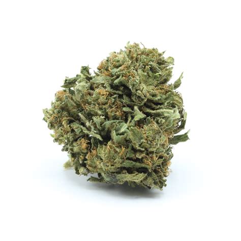 Mango Aa Gram Crazycannabis Online Dispensary Canada Buy