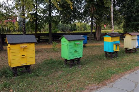 The Best Mason Bee Houses | Chook City